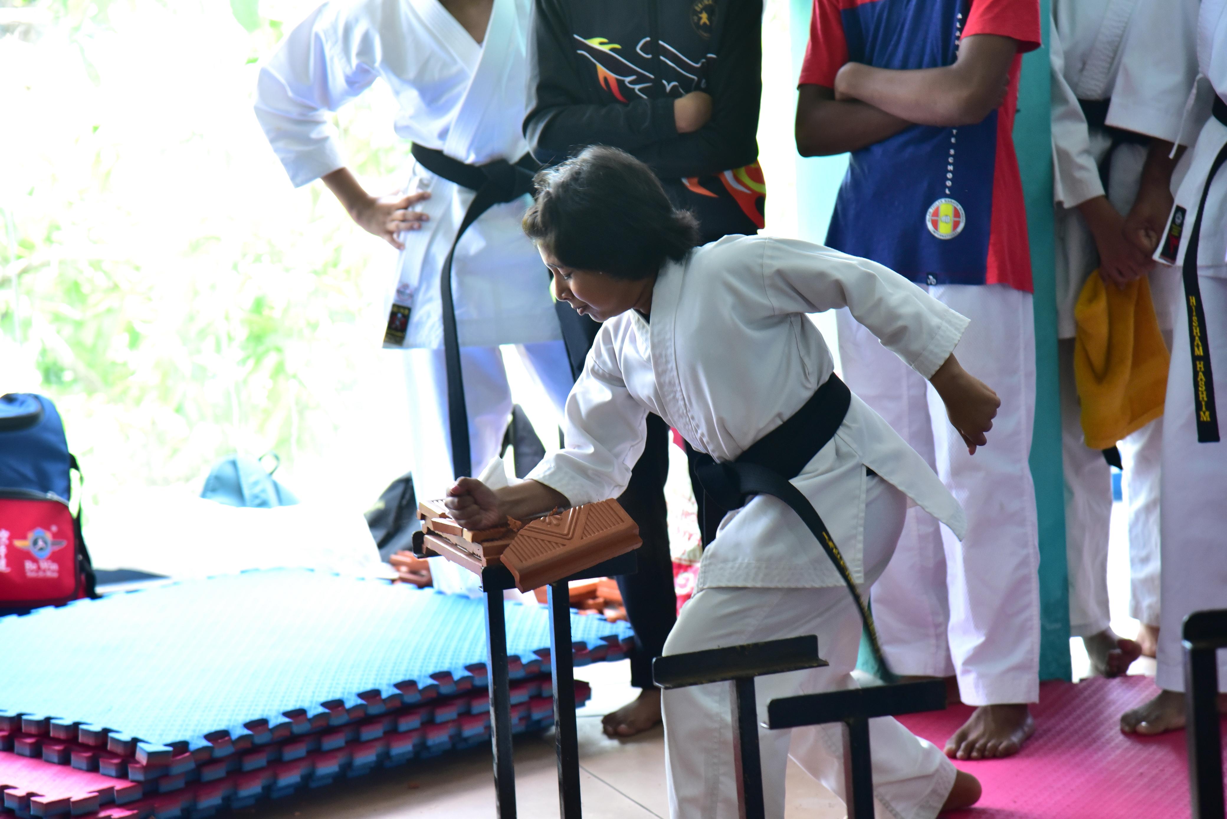 Karate Curriculum Integration